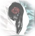Rose and Veil Silhoutte