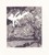 Click To Preview