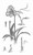 Click To Preview