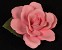 Click To Preview