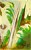 Click To Preview