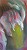Click To Preview