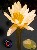 Click To Preview
