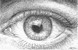 Click To Preview