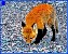 Click To Preview