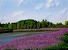 Click To Preview