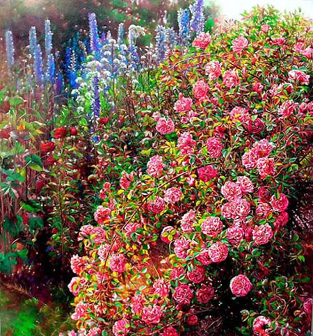 Rose garden 2