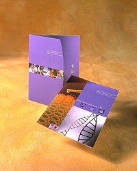 Immune Tolerance Network