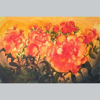 Flowers 12