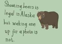 Shooting Bears
