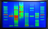 DNA lux Farenheit
