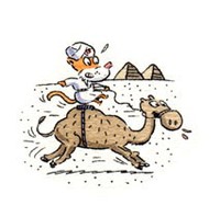 Cat & Camel