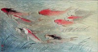 Nine Carps