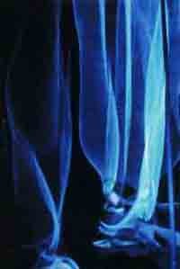 Blue Curtain