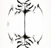 Photocopy