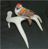 Chipping Sparrow 2