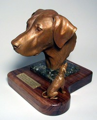 Rhodesian Ridgeback