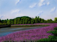 ''Off Scotland Road''