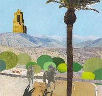 Desert Horses