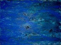 BLUE LAGOON II