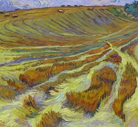 Harvested field before a hill