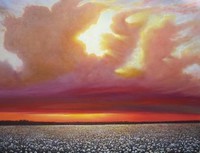 Sunset Splendor