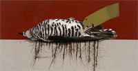 Christine Willcocks - Still Life