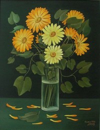 Chamomiles