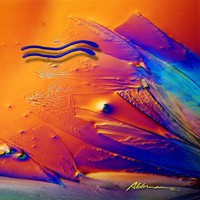 Blue Leaf