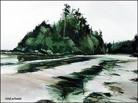 Tofino Mackenzie Beach IV