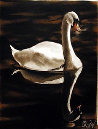 Swan
